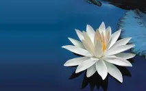 водяна