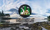 Карелія для дітей дитячого