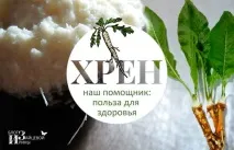 Хрін як джерело здоров’я здоров