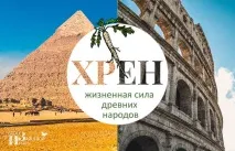 Хрін як джерело здоров’я здоров