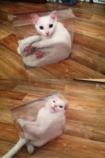 коробок