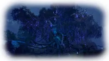 Tera online - Поляна Стародавньої поляна
