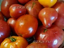 болгарський