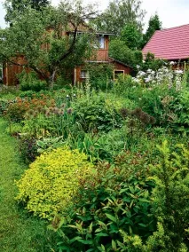 Ботанічний сад на улюбленій дачі ботанічний