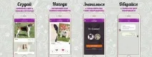 Благодійність та PR стартапів без вкладень, Експерт BTL благодійність