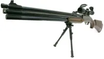 Найпотужніша у світі - GUNS about guns