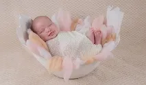 Буханці, батони, булочки хліб
