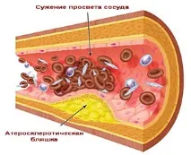 функциониране