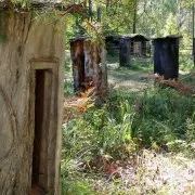 Що таке колодне бджільництво особливості вмісту бджіл, корисне відео таке