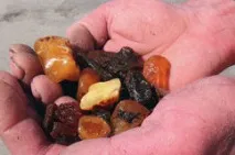 Що таке рекомендовані новини вконтакті рекомендовані
