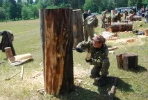 Що таке колодне бджільництво особливості вмісту бджіл, корисне відео таке