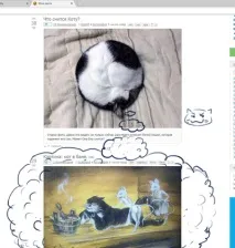 Що сниться Коту сниться