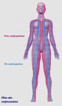 Що таке меридіани людини меридіани