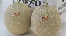 найдорожчих