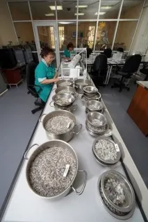 Видобуток алмазів якутської компанії компанії