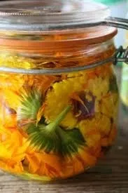 Ефективні маски від випадіння волосся з травами маски