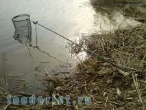 фідера
