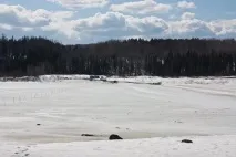 Це щастя – шлях додому шлях