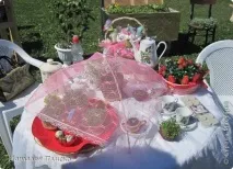 Фестиваль сімейної творчості, Країна Майстрів творчості