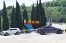 партенит