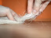 гіпс