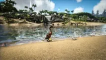 hesperornis