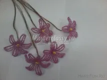 гіацинт