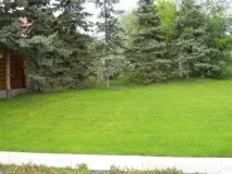 Газон своїми руками для дачі докладне керівництво фото та відео руками
