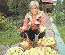 заміський