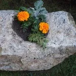 Горщики та клумби з каменю - Меблі з масиву дерева, вироби з дерева - ДИЗАЙН КОМПЛЕКТ клумби