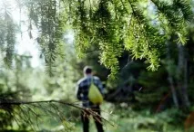 Цікава історія про те, як людина заблукала в лісі на два дні цікава
