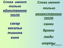 Які слова в українській мові не мають форми множини українській