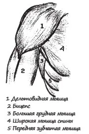 човешко