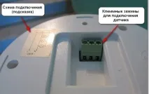 руху