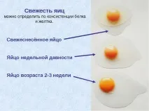 Як визначити свіжість курячого яйця та термін придатності зберігання в холодильнику поради з фото та відео курячого