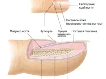 Як визначити хворобу по нігтях нігтях