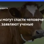 Вчені знайшли несподіваний порятунок від ВІЛ, Лікування в Ізраїлі знайшли