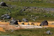 Трекінг в Monumeto Natural El Morado за годину їзди від Сантьяго трекінг