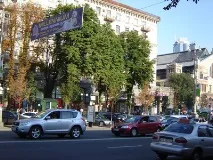 Як зменшить негативний вплив спеки на рослини спеки