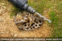 Як викорчувати дерева чи пні на садовій ділянці дерев