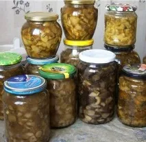 Як смачно приготувати гриби свинушки Як заготовити свинушки на зиму смачно