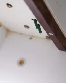 являється