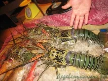 Як живуть люди на Філіппінах, Село моє люди
