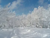 Як японські дорожні служби прибирають сніг на горі Татеяма дорожні