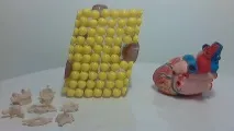 Комплектація шкіл - вимоги, обладнання, аптечка, ФГОС комплектація