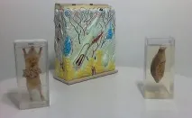 Комплектація шкіл - вимоги, обладнання, аптечка, ФГОС шкіл