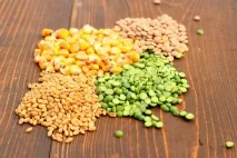 Комбікорм для курей своїми руками комбікорм