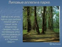 Конфлікт, гачок, інтрига, загадка, таємниця, Літературний наставник гачок