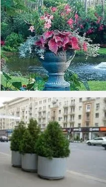 Контейнерне озеленення, У САДУ І В ГОРОДУ саду