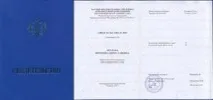 Курси перукарів в СПб для початківців, Ліцензія, диплом, Перукар (базовий курс) перукарів